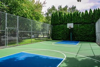 The park apartments basketball court